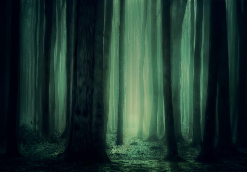 Mystical Woodland Receptions